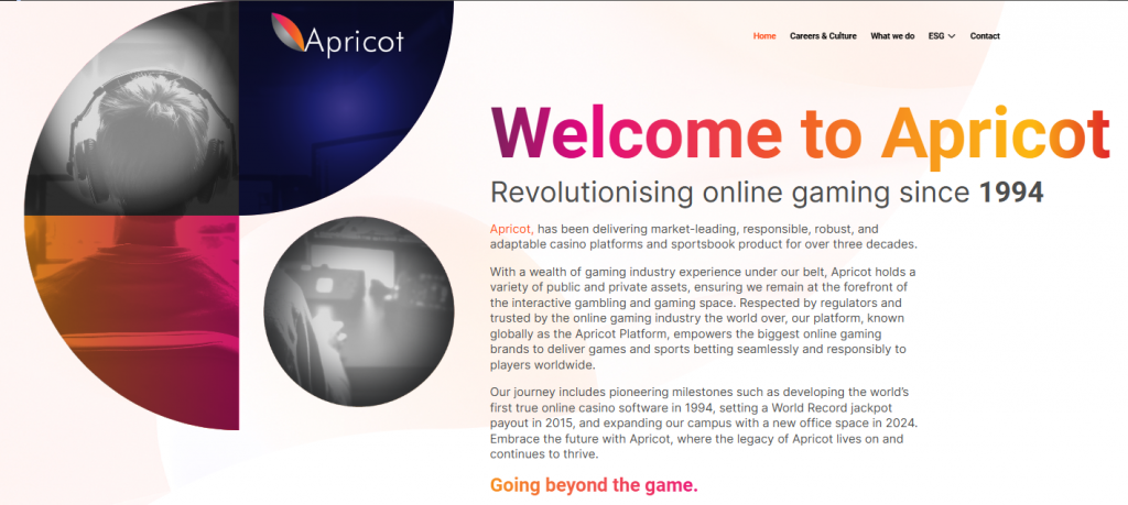 Microgaming